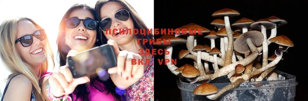 Альфа ПВП Балабаново